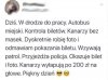 Covid vs kanary