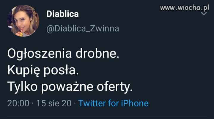Ogłoszenia 