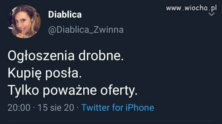 Ogłoszenia 