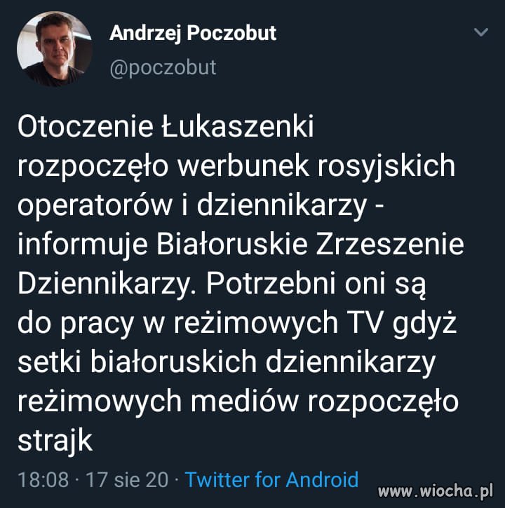 Wysłać tam Holecką, Ziemca, Ogórek, Jachimowicza