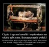 Wystarczy tylko dorobić dobrą legendę ...