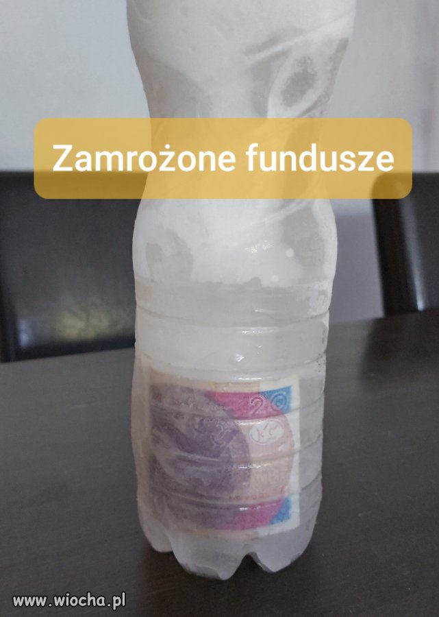 Zamrożone