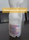 Zamrożone