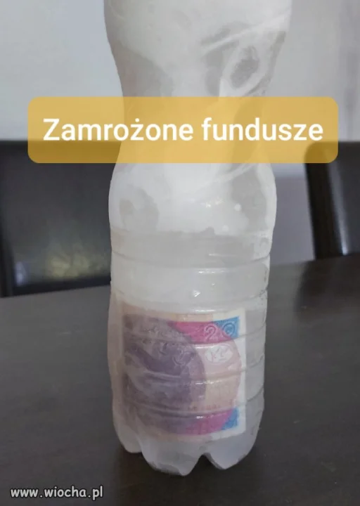 Zamrożone