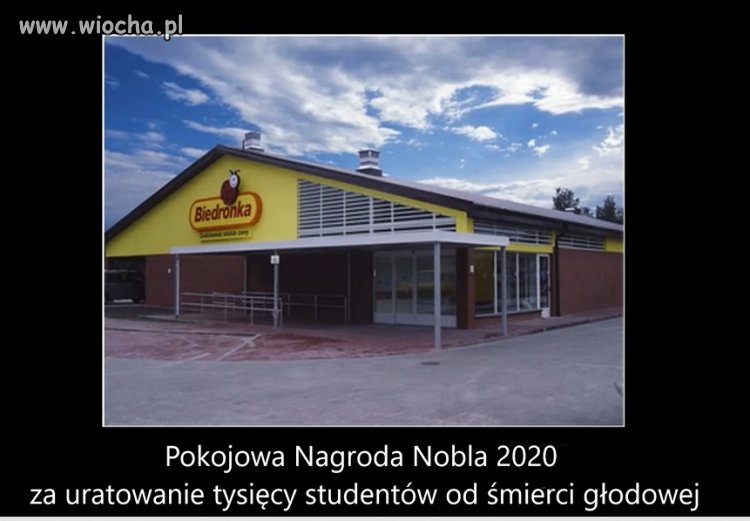 A po studiach 