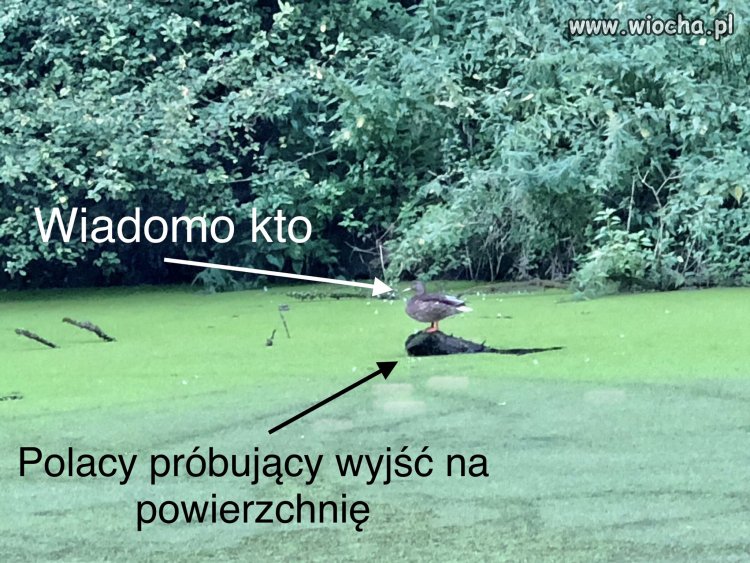 Ku przestrodze..