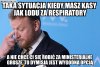 Żenada plus