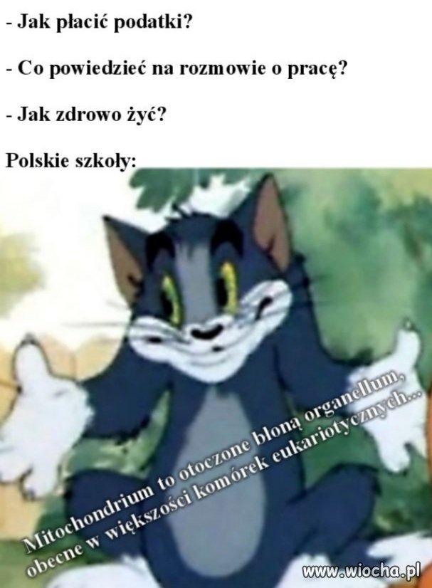 Nauka w polskich szkołach