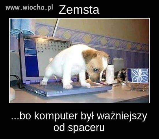 Prawdziwa zemsta 