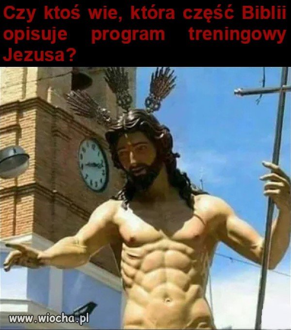 Program treningowy