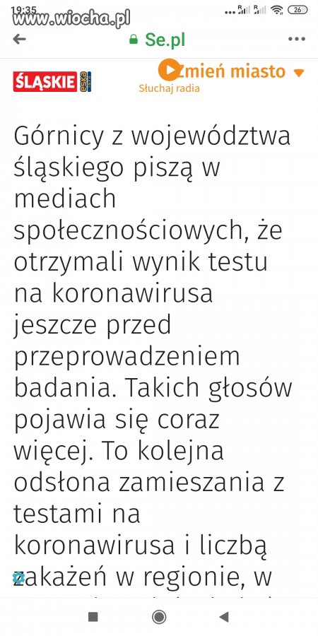 Korono świrus
