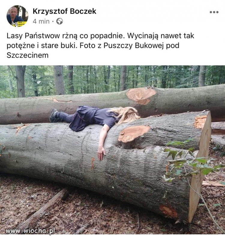 Bez tytułu. 