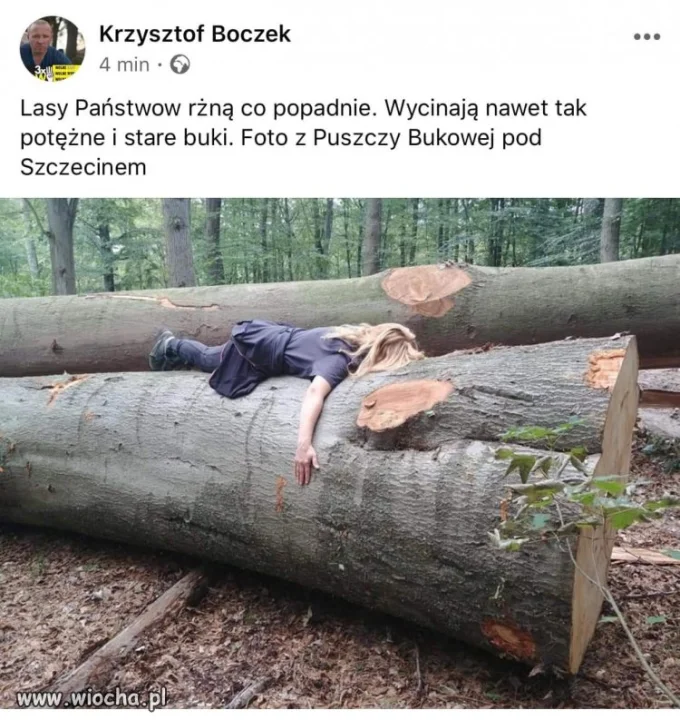 Bez tytułu. 