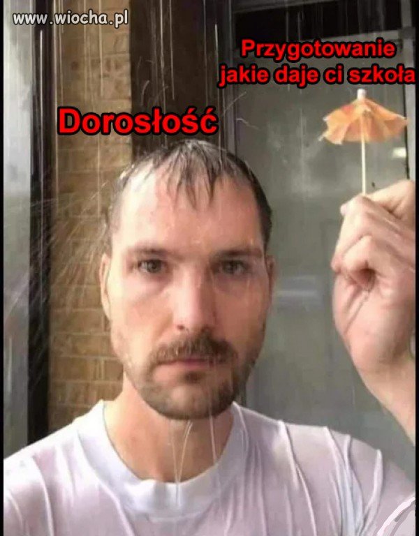 Przygotowanie do dorosłości   