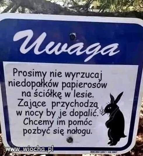 Nie bądź baran i chroń zające. 