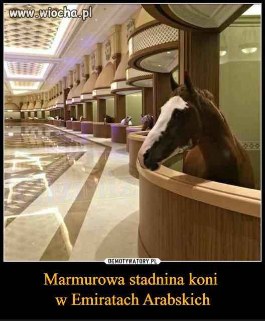 Moze to pomysl dla PiSu w Janowie Podlaskim?
