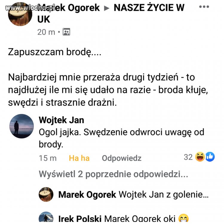 Broda a golenie...