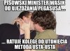 Może pan minister jako specjalista od ujeżdżania..