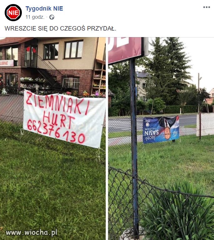 Też tak sądzę