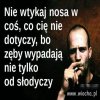 Nie wtykaj nosa 