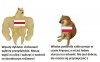 Polacy nie gęsi...
