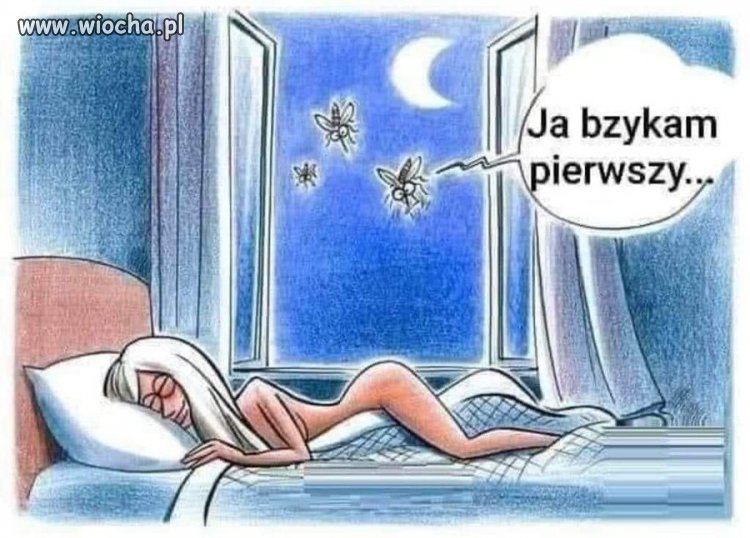 Coś z przymrużeniem oka...
