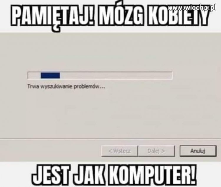 Mózg kobiety 