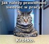 Popieram