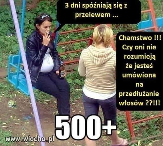 Tak to mniej więcej wygląda