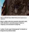 Boska dobroć?