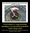 Czy ktoś może coś wie ?