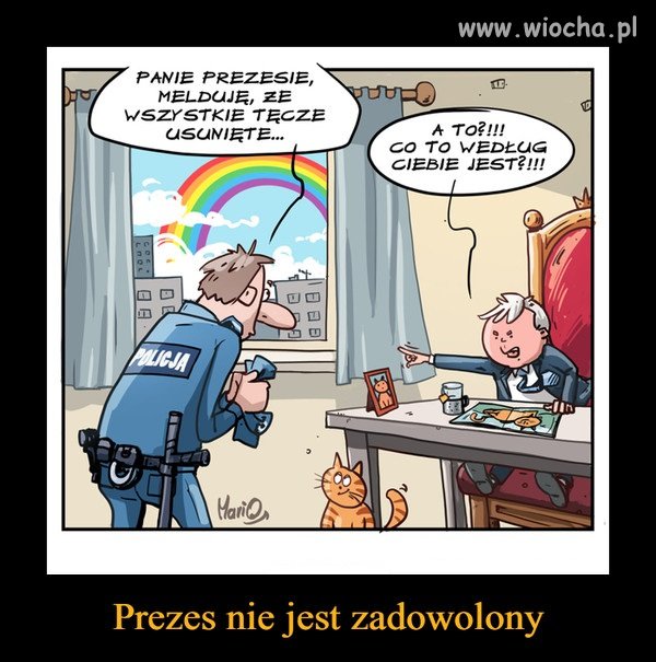 Panie prezesie, melduję wykonanie zadania ...