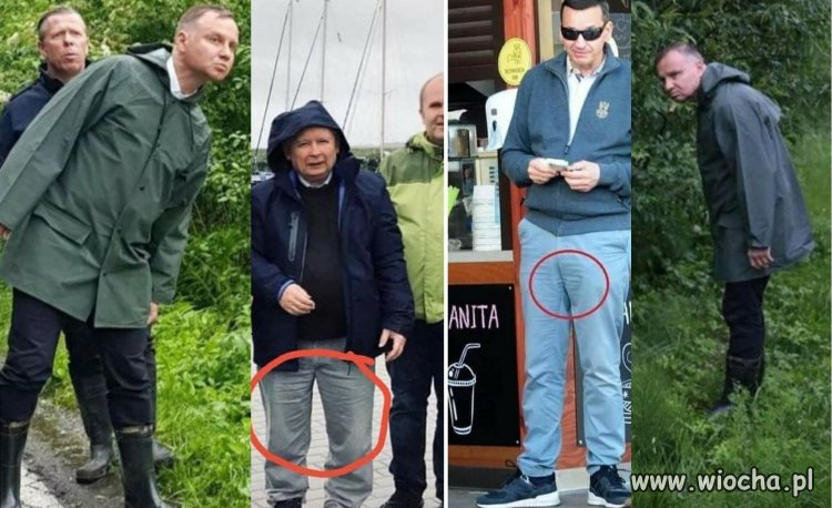 PiS = piss