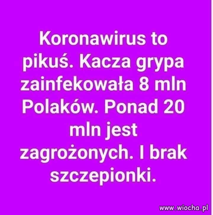 Koronawirus