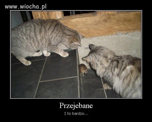 Miałeś kiedyś tak przewalone ?