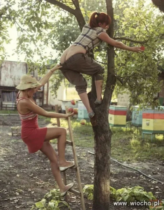 Zbieranie jabłek też może być inspirujące 