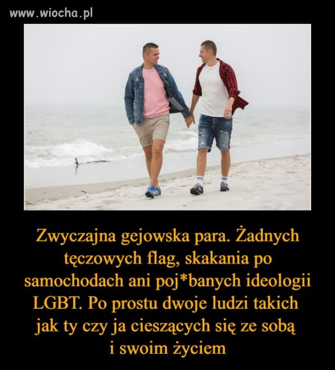 Zwyczajna gejowska para