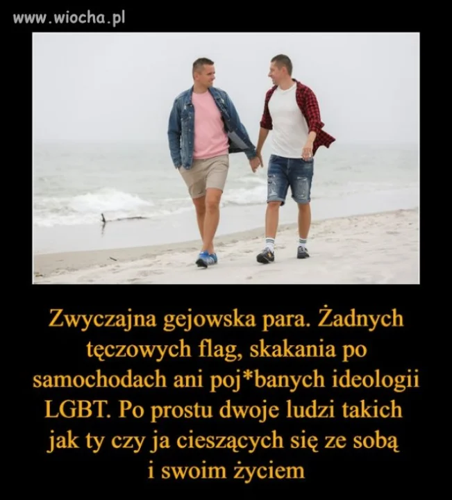 Zwyczajna gejowska para
