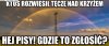 Kolejna obraza katolów!