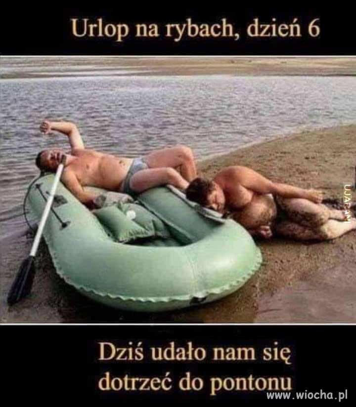 Tyle w temacie