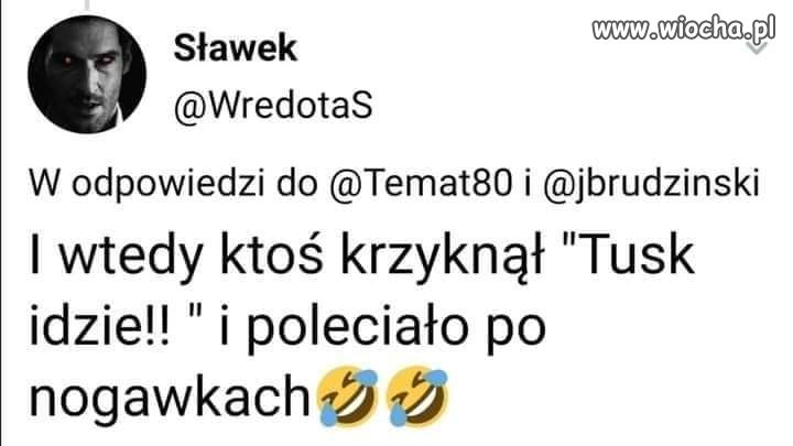 Kurła