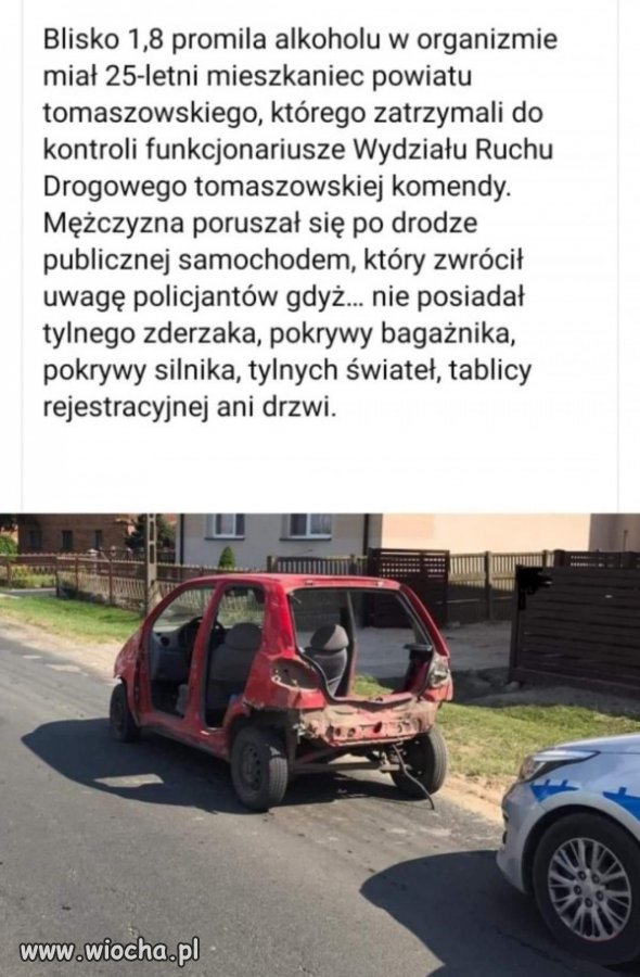 Polak potrafi