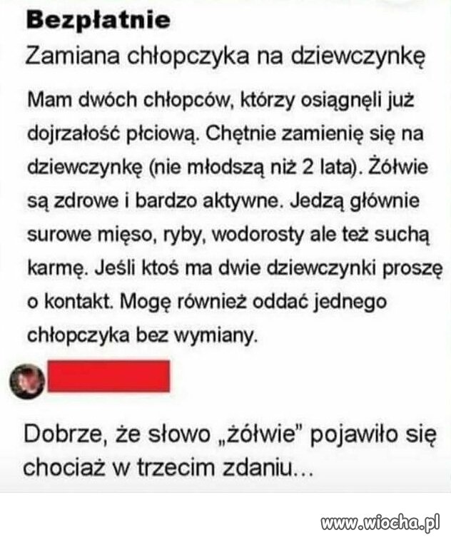 Ogłoszenie adopcyjne