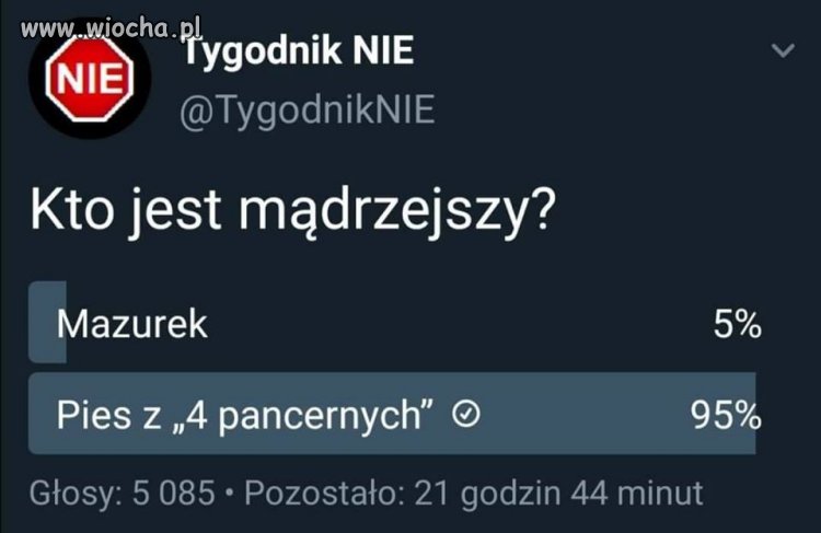 Przeprowadzono sondę 