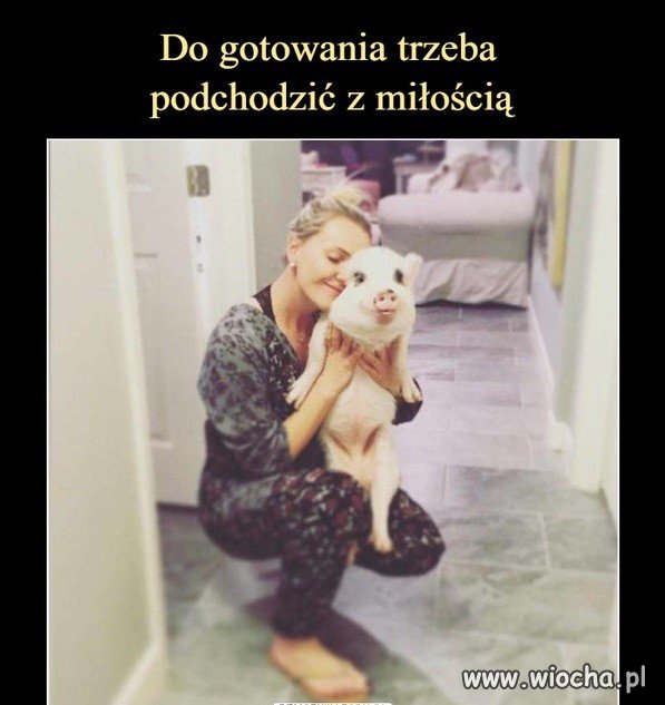 Kocham gotować