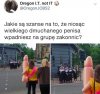 Coś w tym jest
