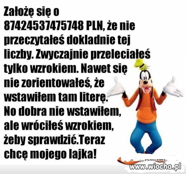 OSZUKUJESZ !