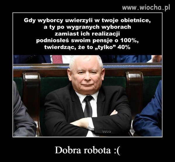 Mistrzostwo świata w obracaniu kota ...