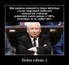 Mistrzostwo świata w obracaniu kota ...
