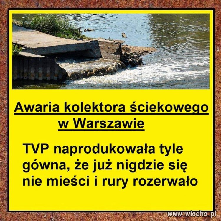 No ile można? 